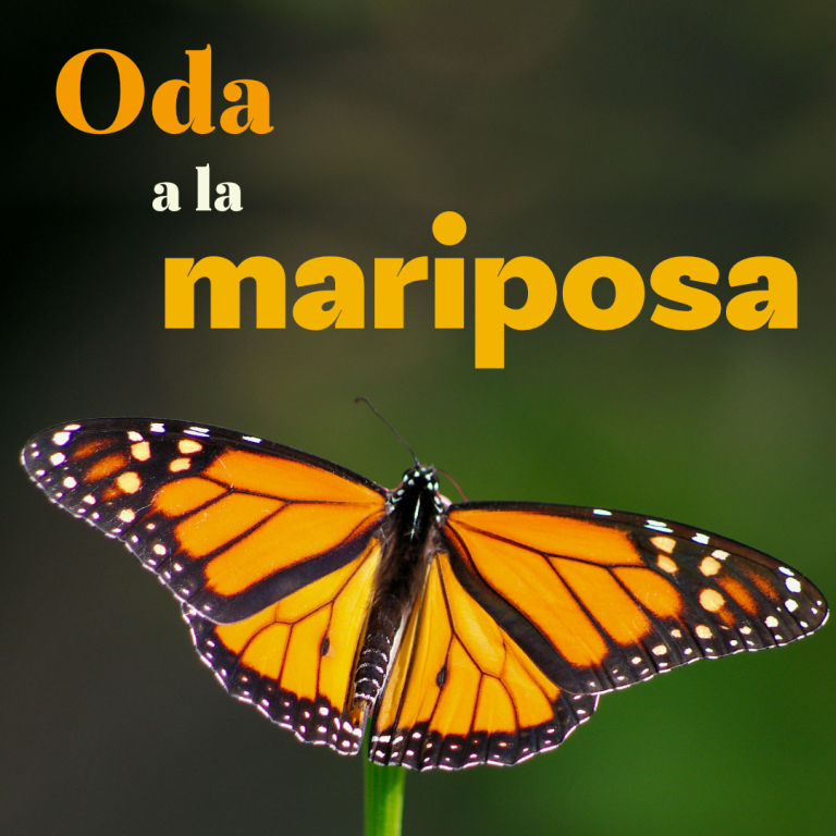 cultura-fundacion-pablo-neruda-oda-a-la-mariposa