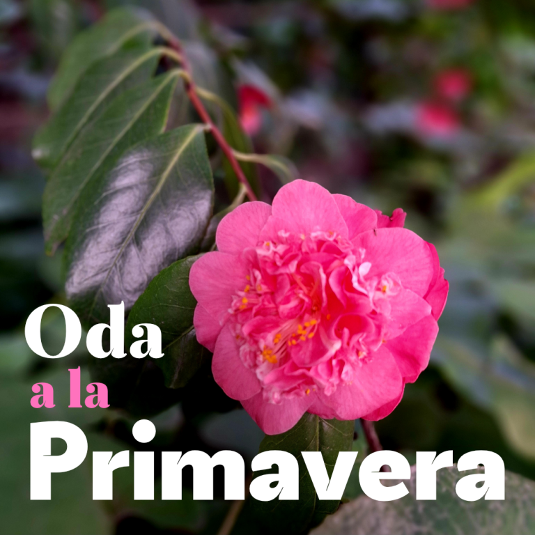 fundacion-pablo-neruda-oda-a-la-primavera