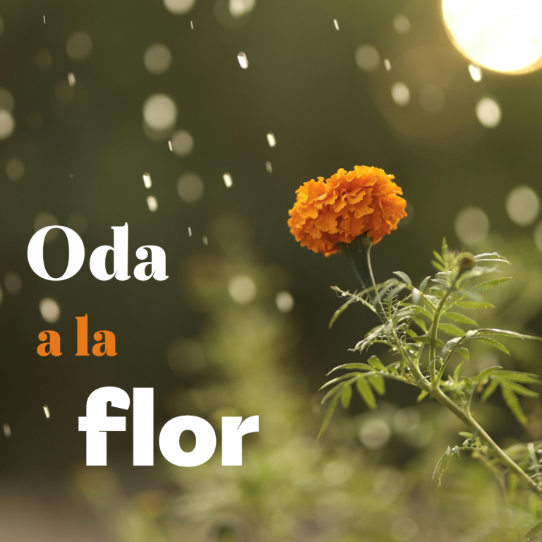 oda-a-la-flor