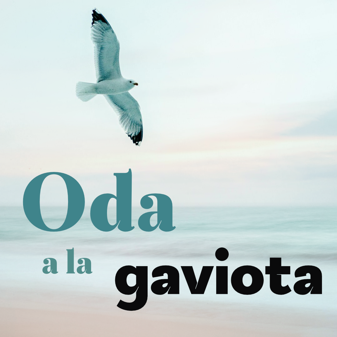 oda-a-la-gaviota