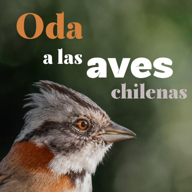 cultura-fundacion-pablo-neruda-oda-a-las-aves-chilenas