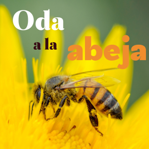 oda-a-la-abeja